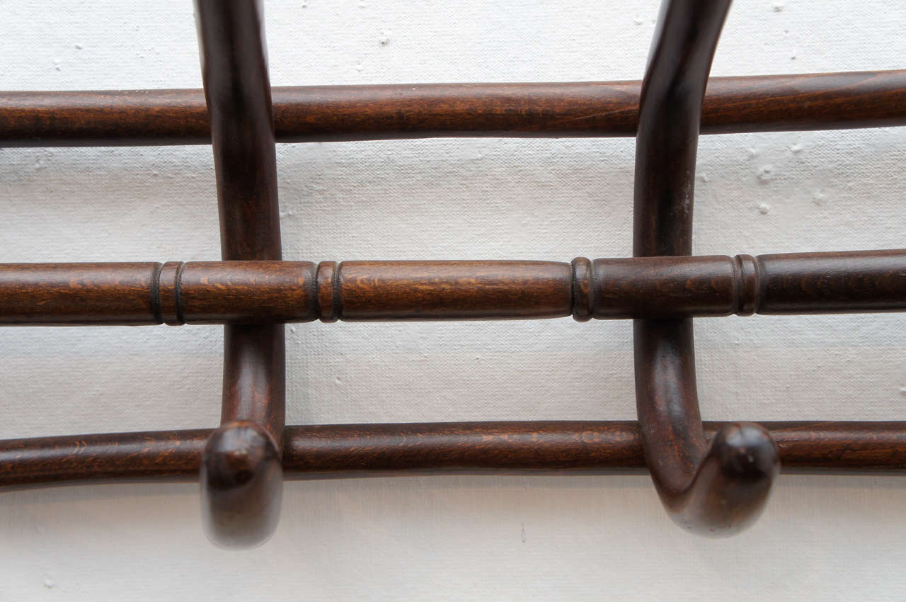 20th Century Bentwood  Five Hook Coat Rack