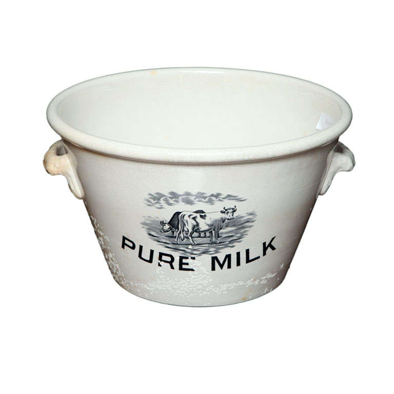 Pure Milk Pail With Cows Grazing