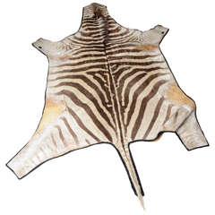 Vintage Zebra Rug