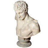 Large Plaster bust of Hermes