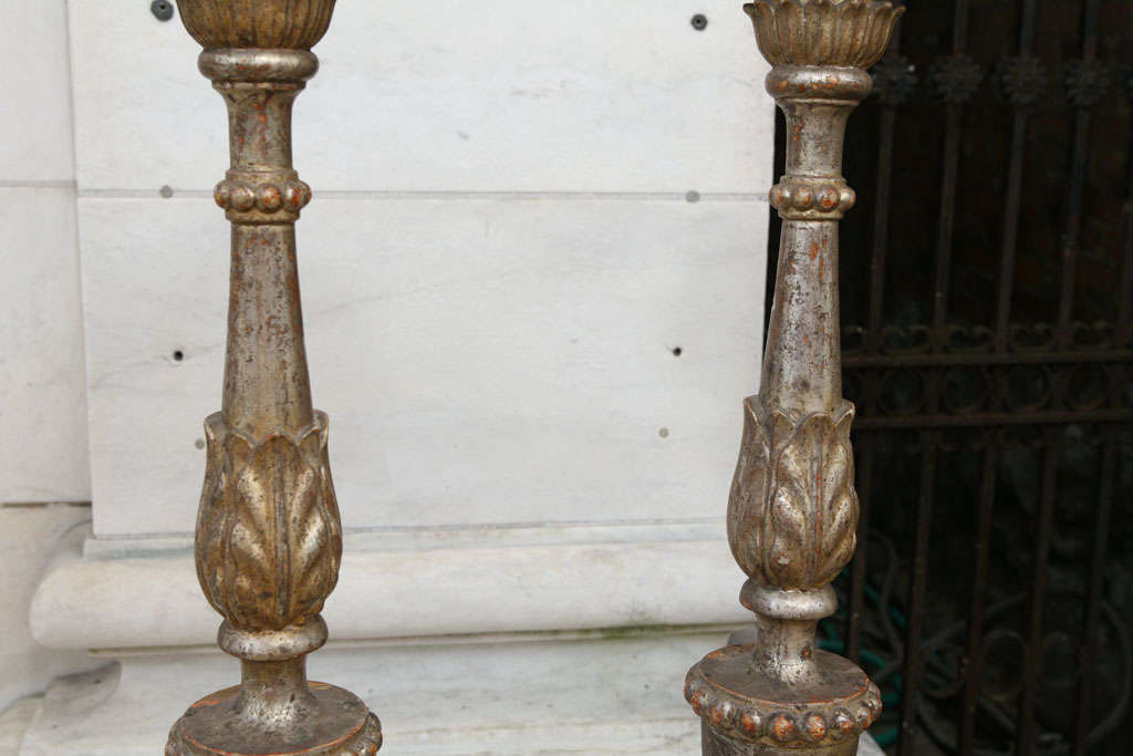 A fine Pair of French or Italian Silver Gilt Pricket Sticks  5