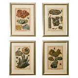 A Set of Four Mineral Lithographs