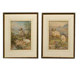Antique Pair of Mountain Landscape Paintings With Sheep