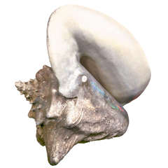 Fiberglass Conch Shell by Chandler Davis