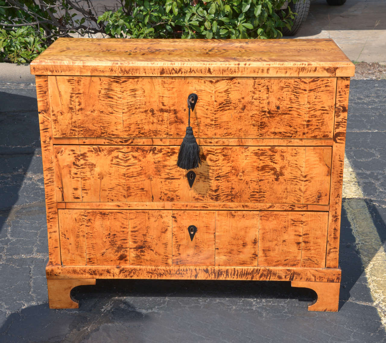 19th c period Biedermeier tiger eye maple chest.