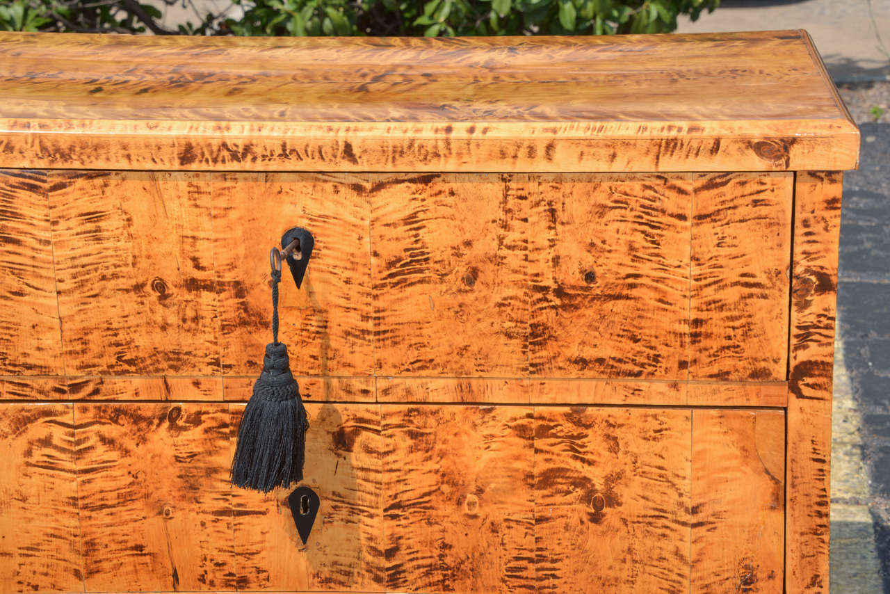 German 19th c Biedermeier tiger eye maple chest
