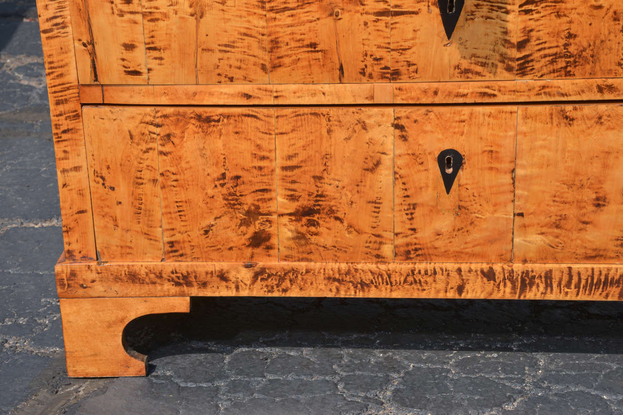 19th c Biedermeier tiger eye maple chest In Excellent Condition In Dallas, TX