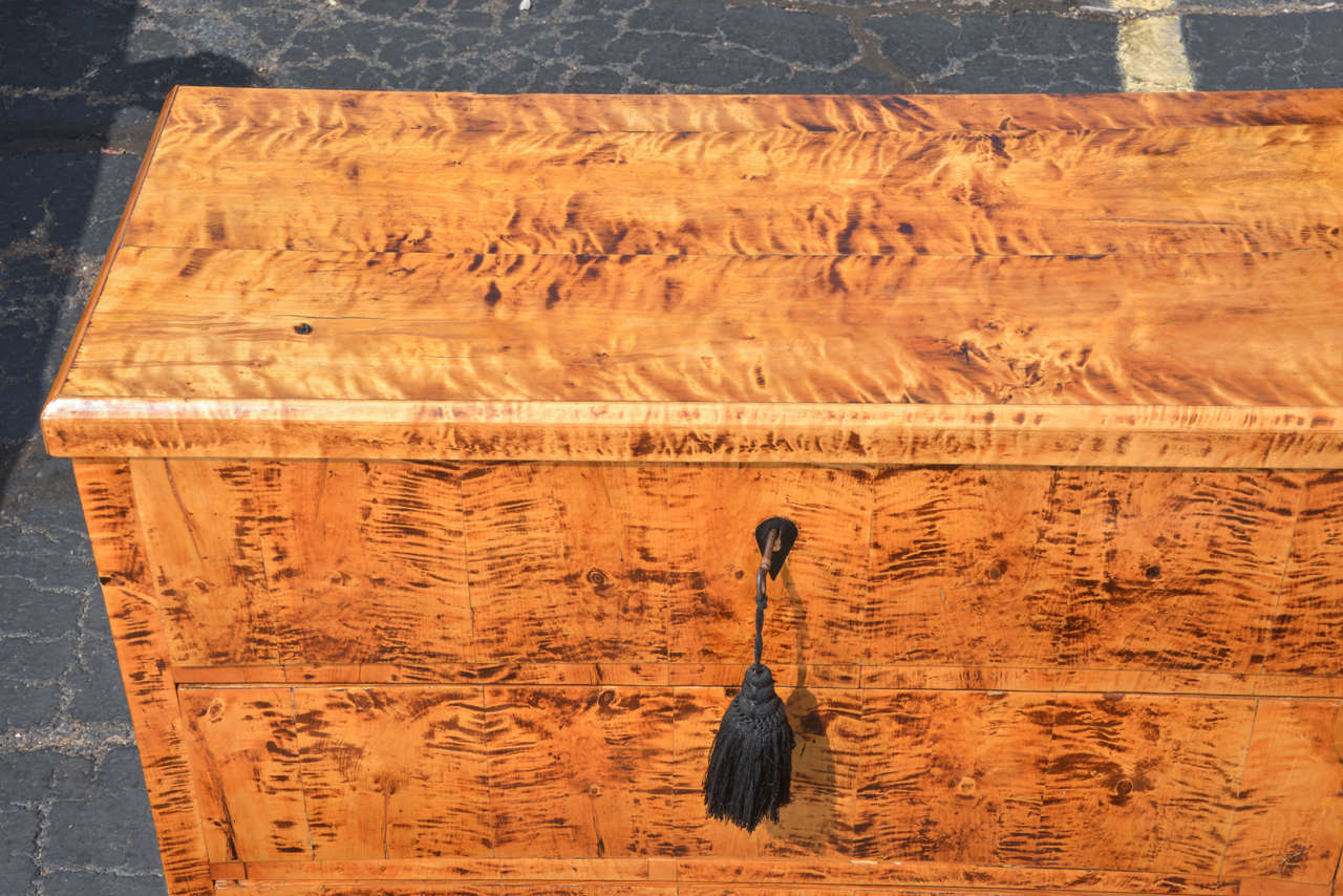 19th Century 19th c Biedermeier tiger eye maple chest