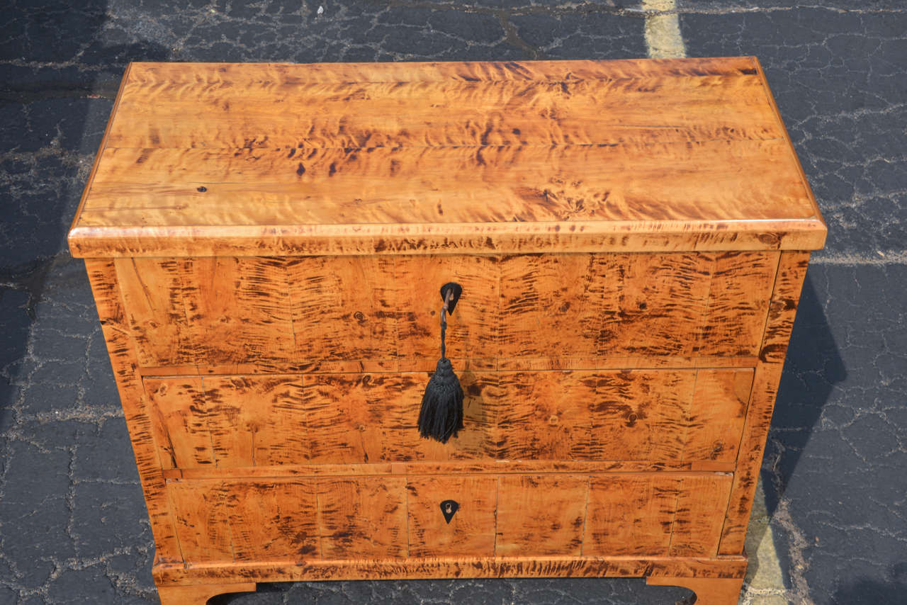 Wood 19th c Biedermeier tiger eye maple chest