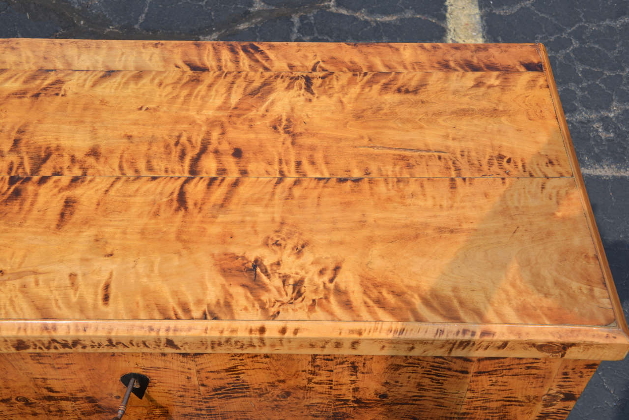 19th c Biedermeier tiger eye maple chest 1