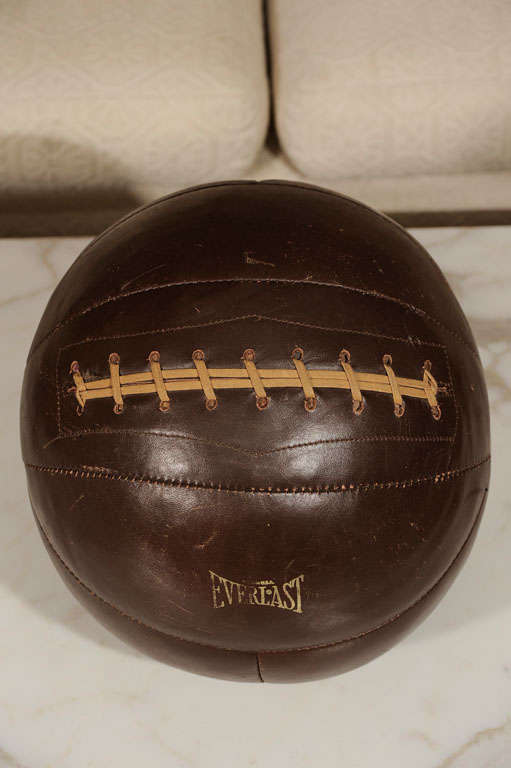 everlast leather medicine ball