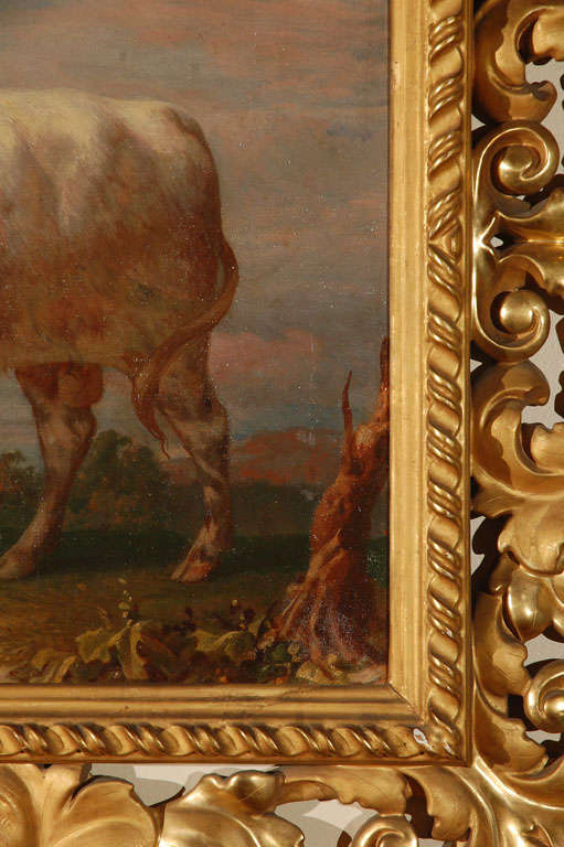 Rare 18th Century Italian Bull Paintings 4