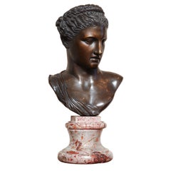 19th century Neo-classical Bronze Bust