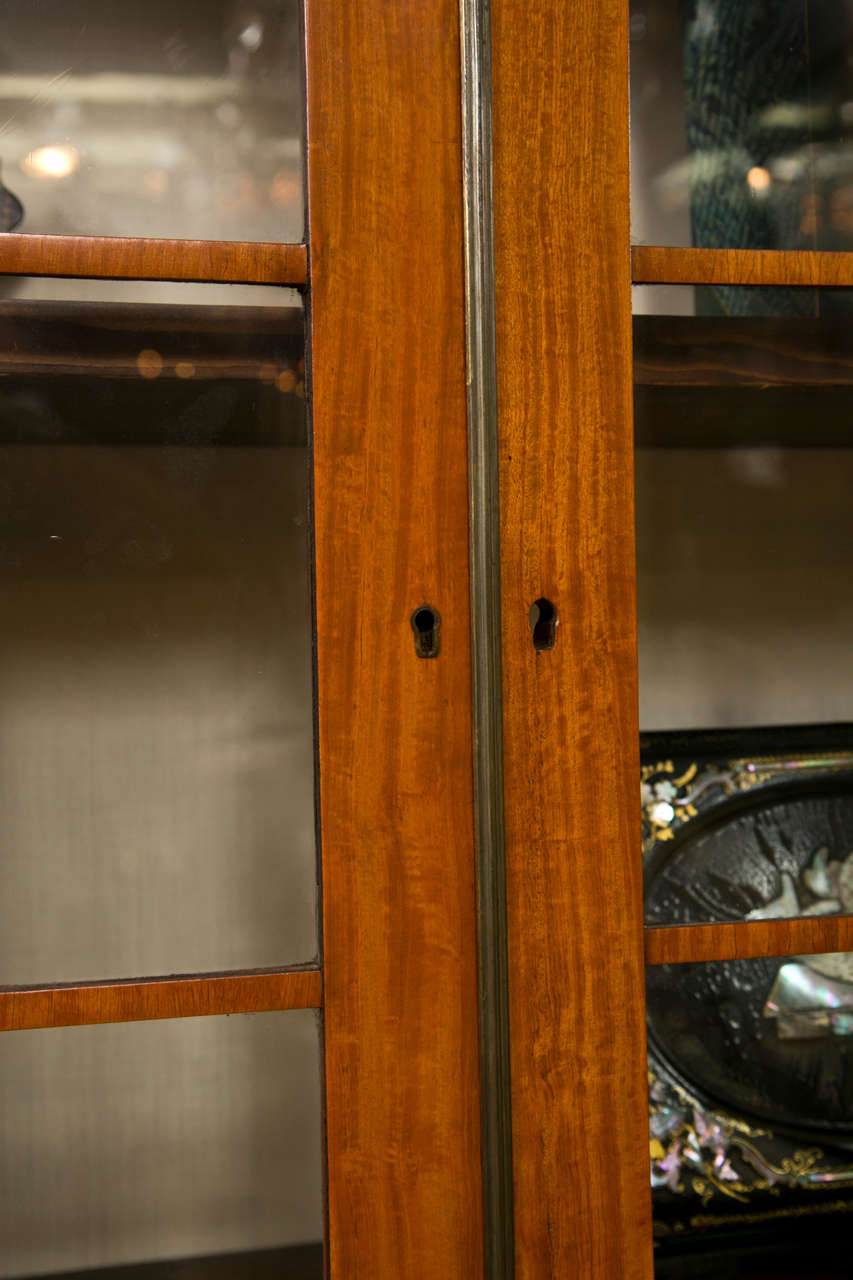 XIXe siècle Cabinet Regency en bois satiné en vente