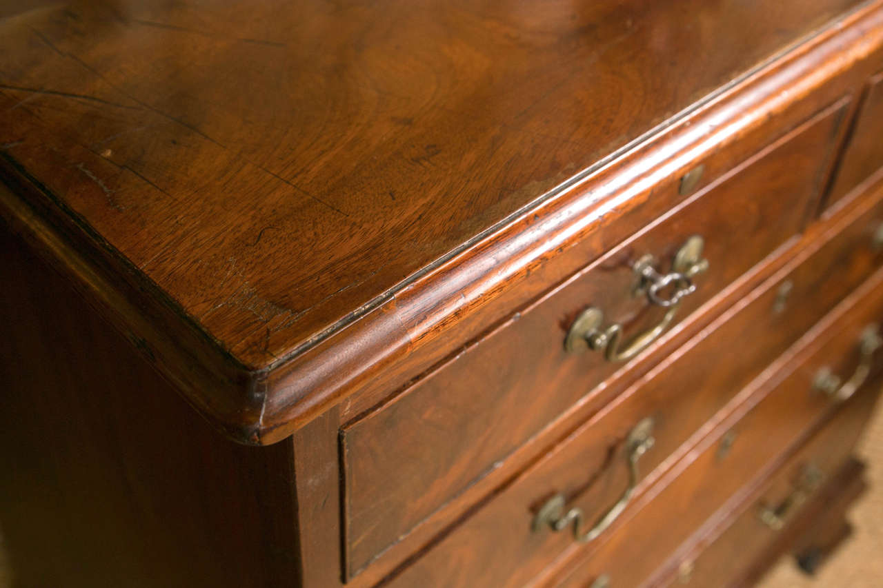 British Period George III Mahogany Bachelor Chest For Sale