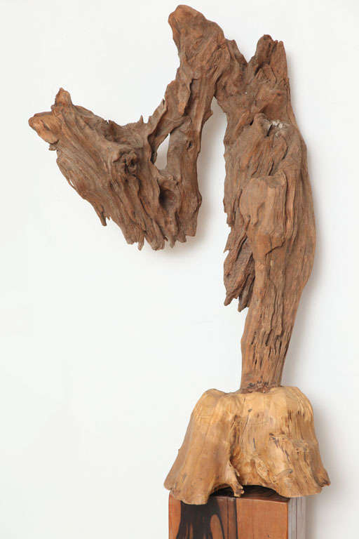 A natural tree form with wooden base. Loosely termed scholar's objects, these forms from nature are often found in artist's studios. They were for contemplation and inspiration.
