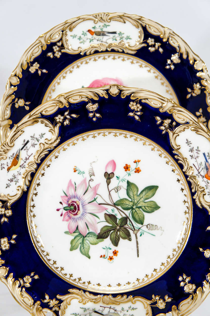 Porcelain 19th Century Hand Painted Botanical Dessert Service with Hand Painted Birds