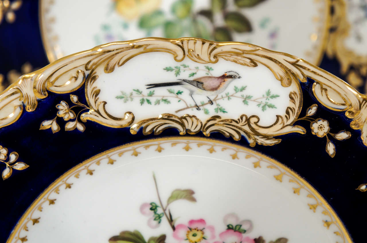 19th Century Hand Painted Botanical Dessert Service with Hand Painted Birds 1