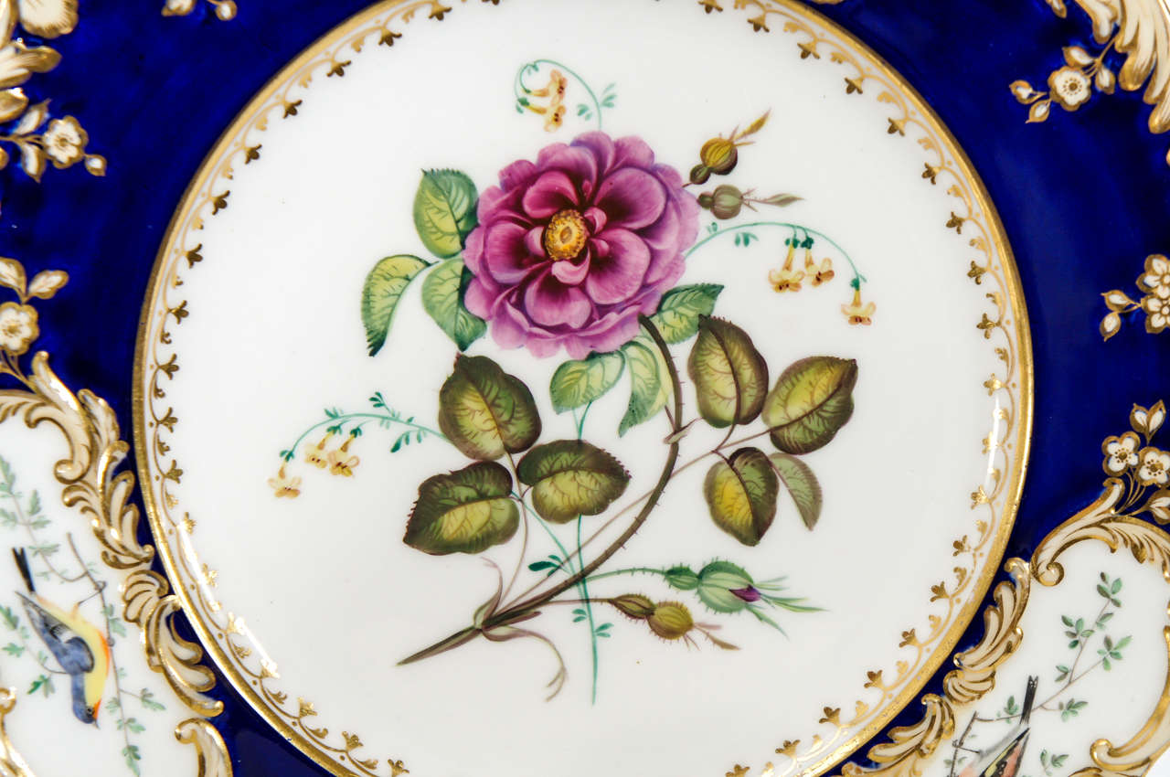 19th Century Hand Painted Botanical Dessert Service with Hand Painted Birds 2