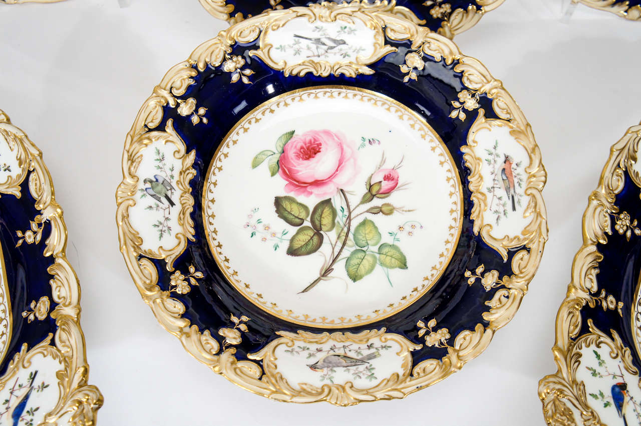 19th Century Hand Painted Botanical Dessert Service with Hand Painted Birds 3