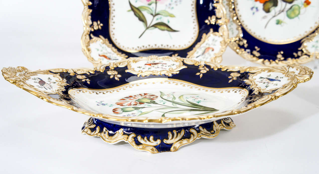 19th Century Hand Painted Botanical Dessert Service with Hand Painted Birds 4