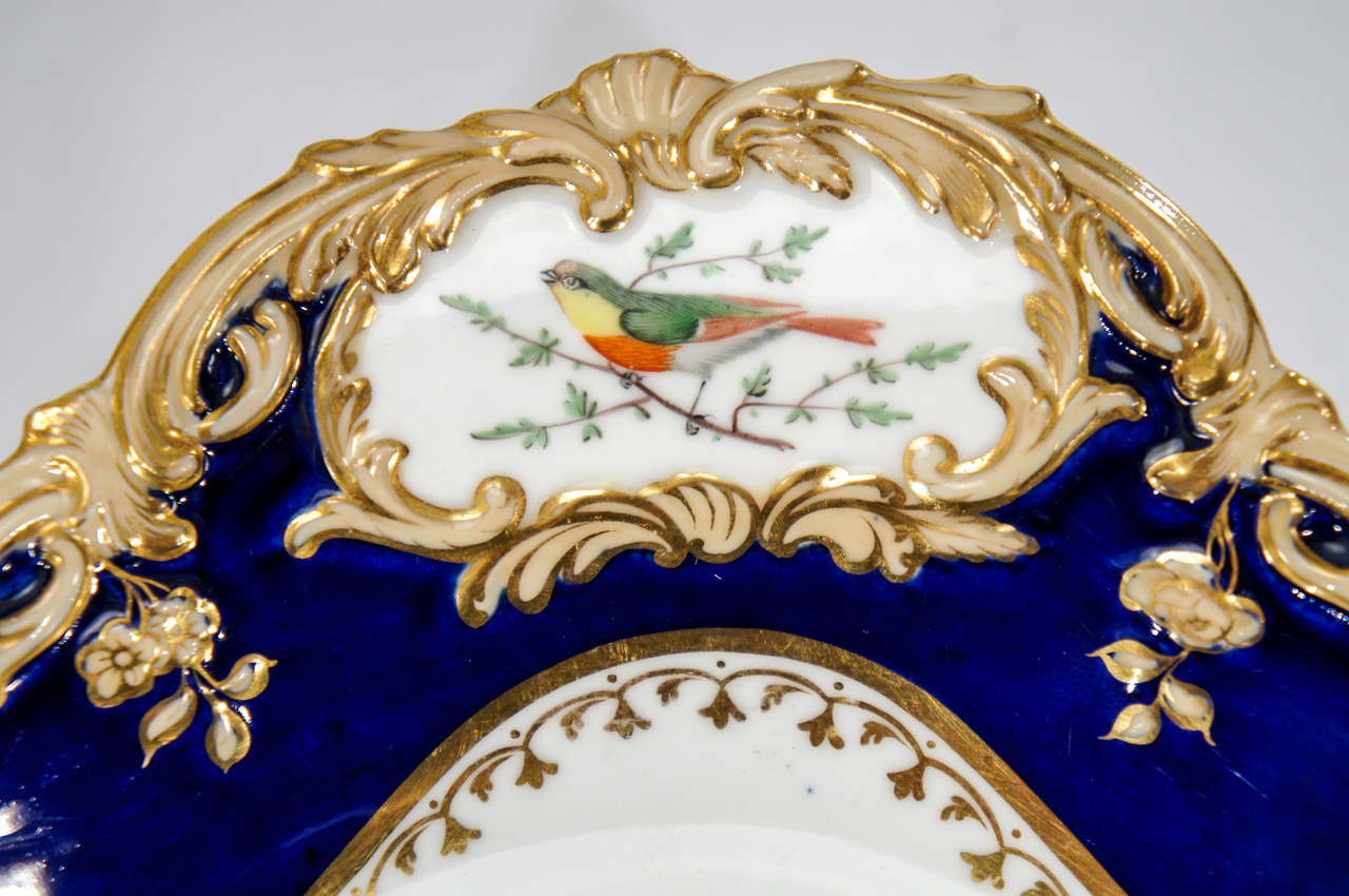 19th Century Hand Painted Botanical Dessert Service with Hand Painted Birds 5