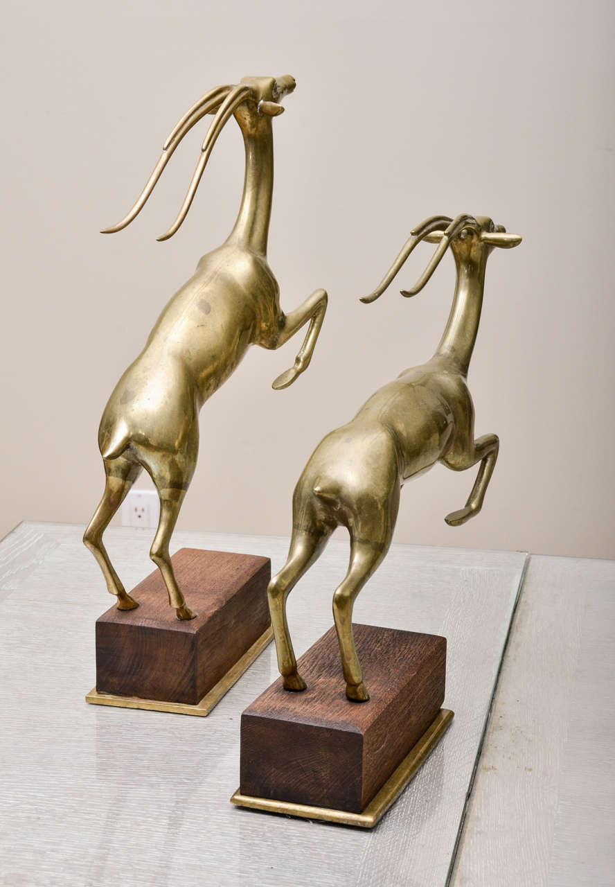 American Pair of Brass Gazelles on Wood Stands For Sale