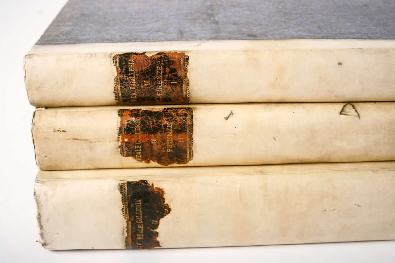 Set of 3 large volumes of Vellum Books from the 18th Century. They are very impressive in their size. The books have vellum on the front spine with a brown leather stripe. 