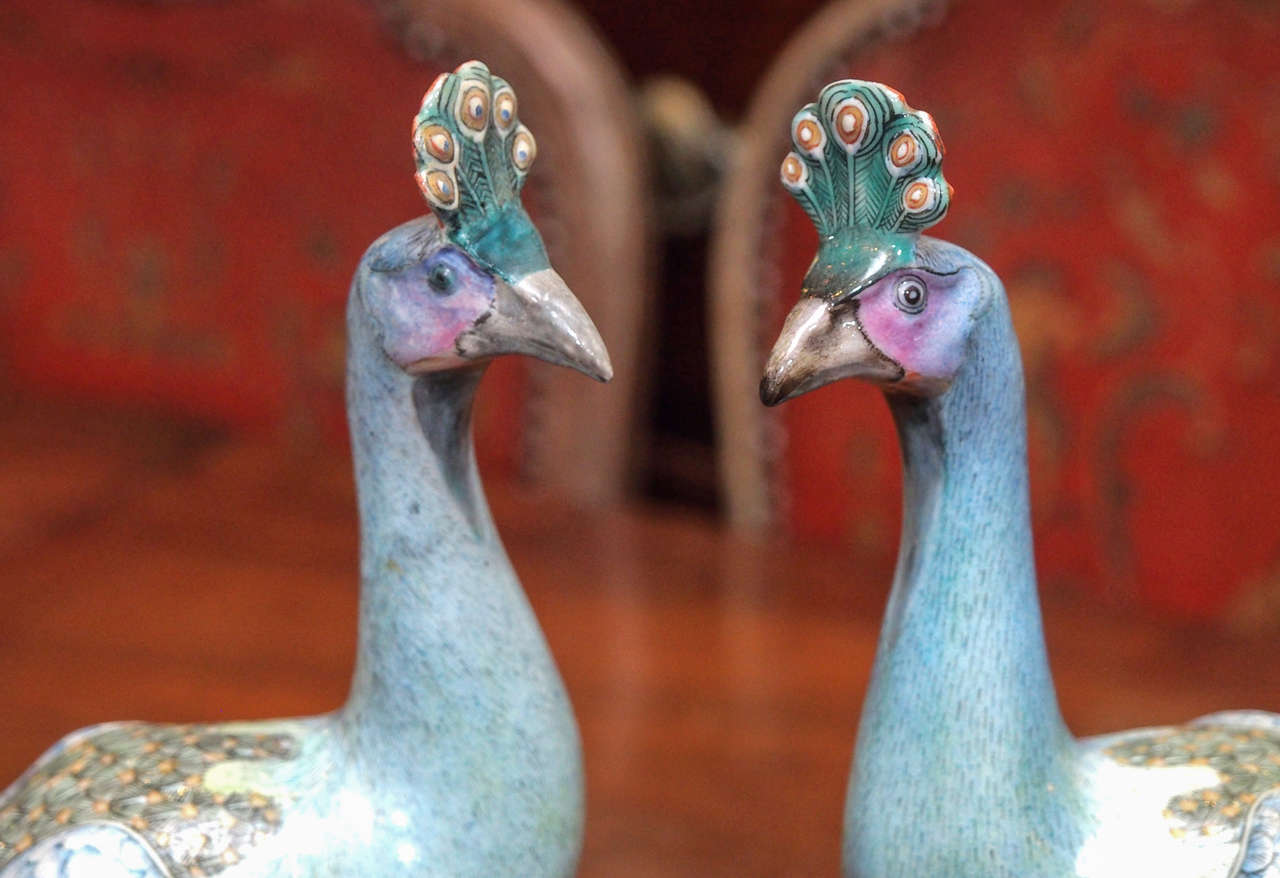 Pair of Chinese Export Famille Rose Peacocks In Good Condition In Natchez, MS
