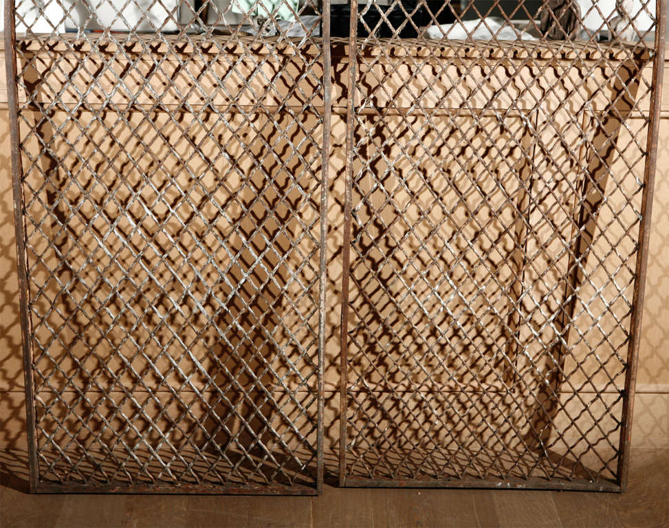 French Pair of Iron Gates For Sale