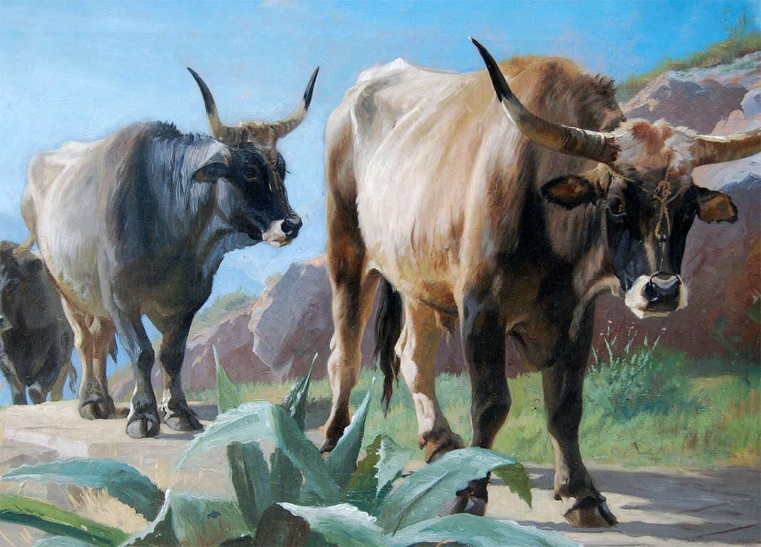 Oil on canvas in original 19th c frame, oxen in an arrid lanscape with aloe plant, by A. Mackeprang 1833-1911.  Member of Danish Art Academy, known for his exceptional deer paintings, exhibited in Charlottenborg 1857-1911, in Paris, 1878, travelled