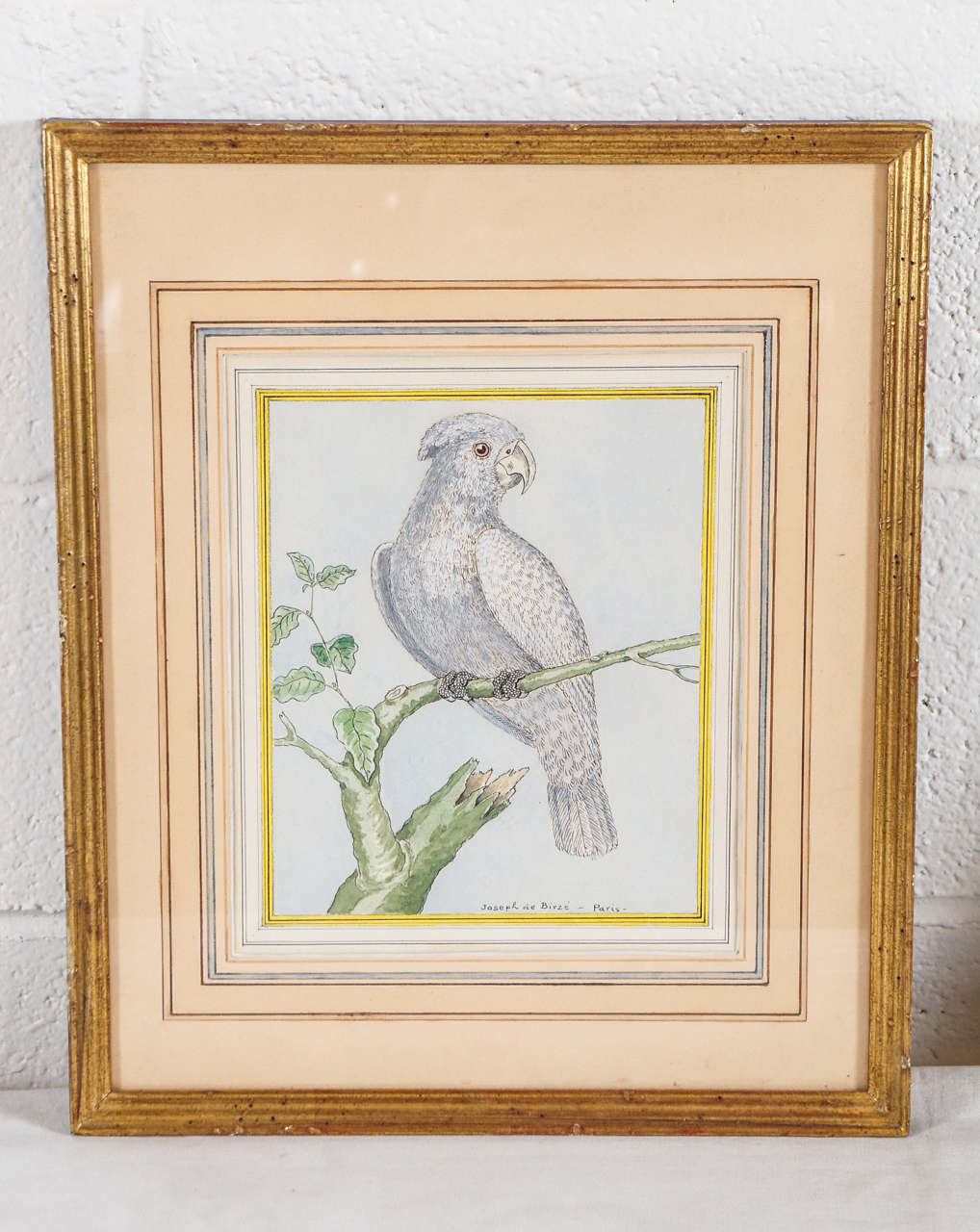 A Set of Four Bird Watercolors In Excellent Condition For Sale In Hudson, NY