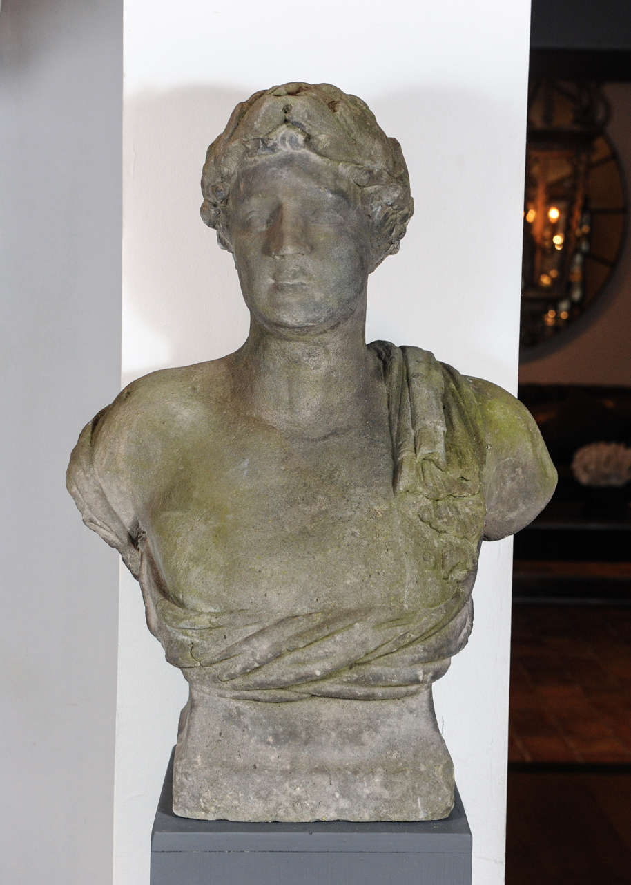 A Dutch 18th c. buste of a young man, probably Antinous, lover of Emperor Hadrian. Laurel leafs in the hair, a veil draped around the waste.