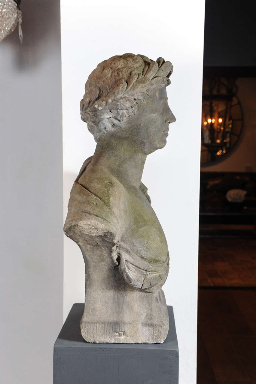 A Dutch 18th Century Bust of Young Man probably Antinous 4