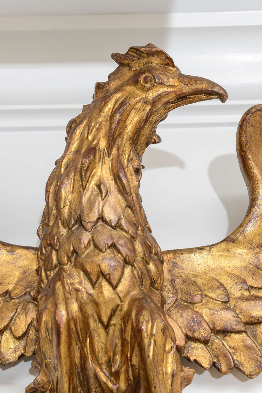 Italian Majestic carved and Gilded Wood Eagle