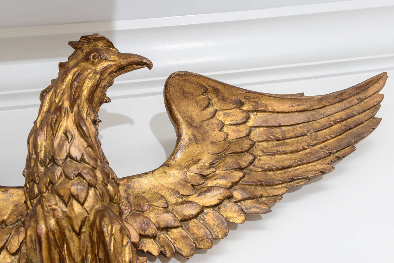 Majestic carved and Gilded Wood Eagle 2