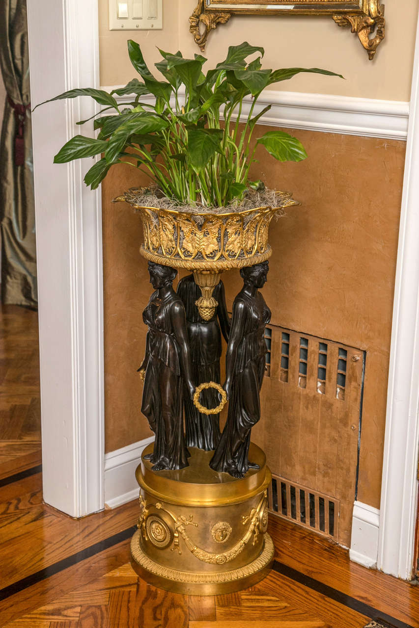 Pair of palatial antique doré and patented bronze figural planters. 

A pair of planters in the form of reticulated gilt bronze grape vine baskets supported by dark patinated bronze winged caryatids. The caryatids are joined at the hands by gilt
