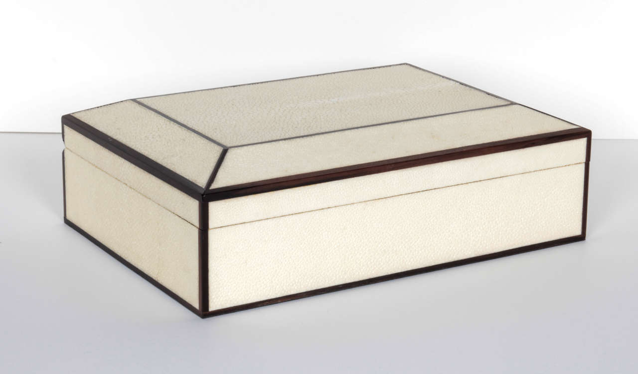 American Natural Shagreen Box with Ebony Trim For Sale