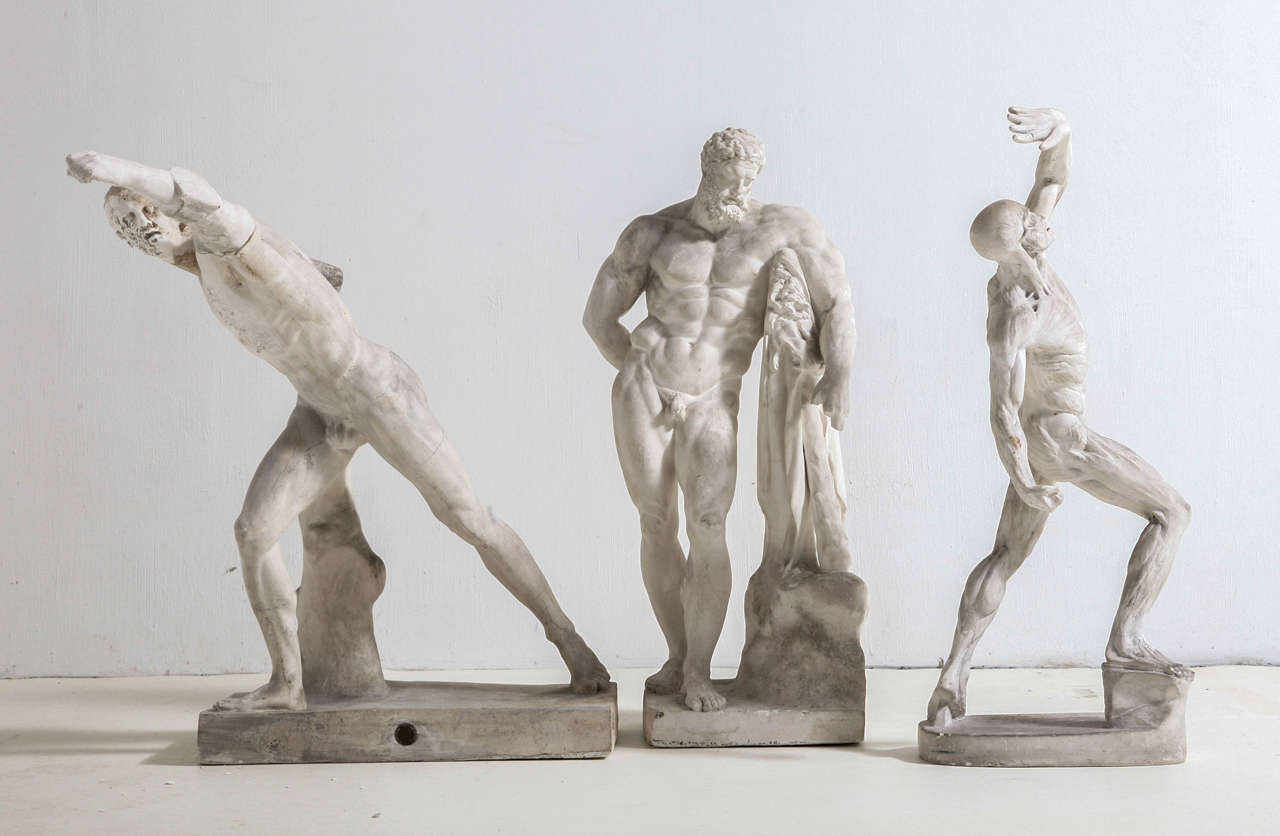 Plaster sculpture of muscle study.
Belgium, late 19th century.
