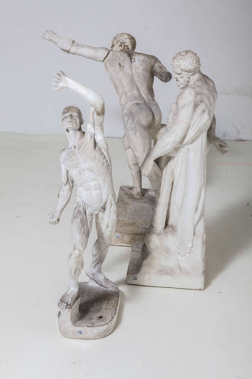 Belgian Plaster Academic Sculptures, Belgium 19th Century