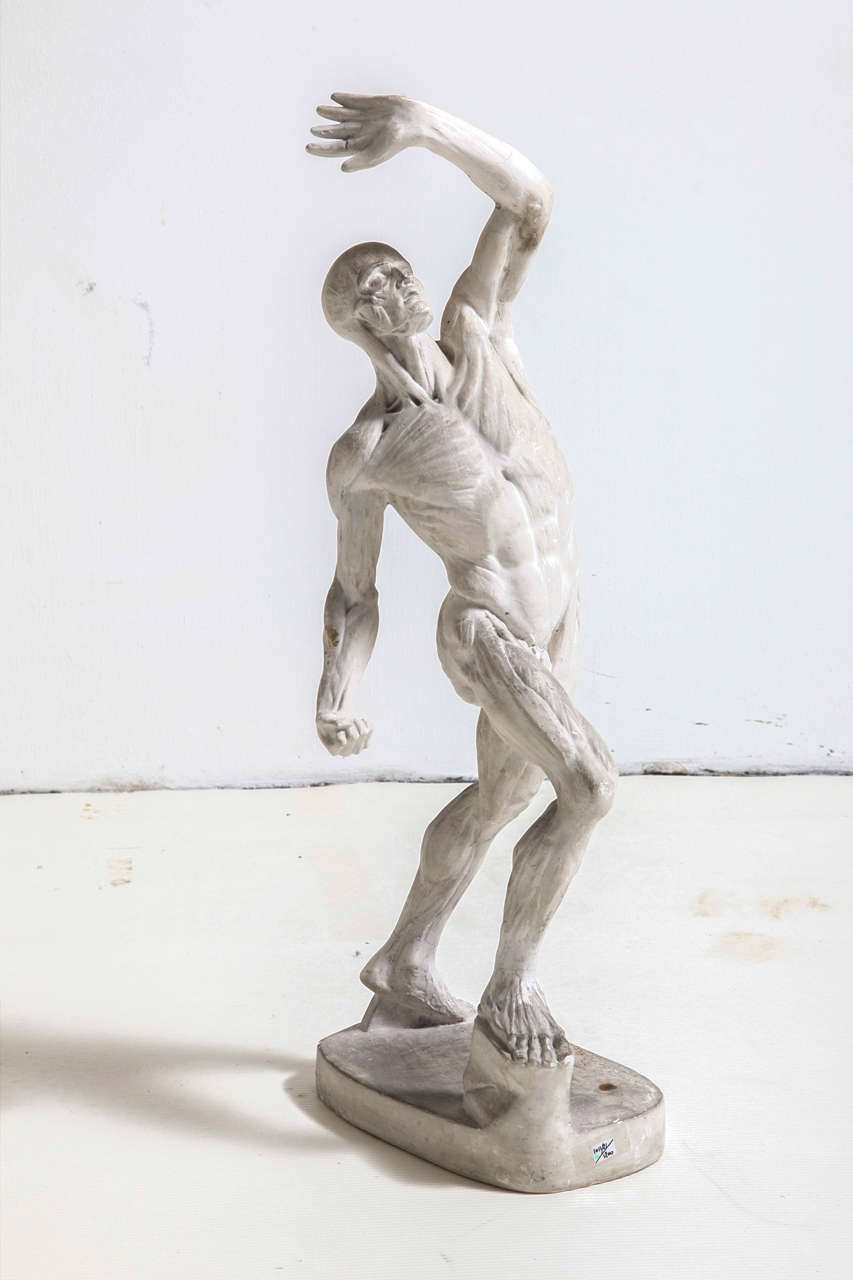 Plaster Academic Sculptures, Belgium 19th Century 2