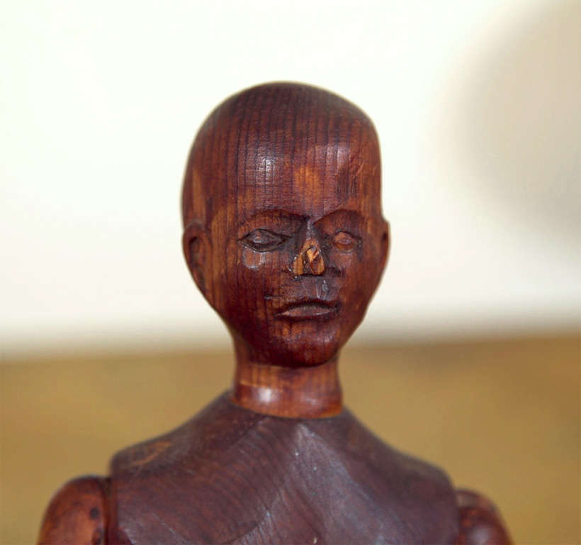 Reticulated Artist Model