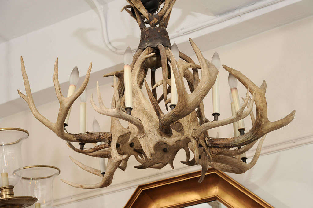 Monumental mounted moose antler ten light chandelier, most likely European.<br />
<br />
Reduced From: $6,400