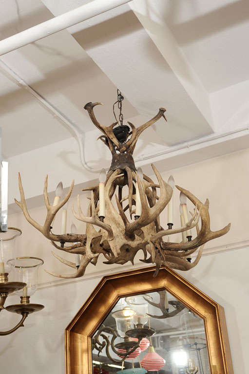 Large Antler Chandelier 5