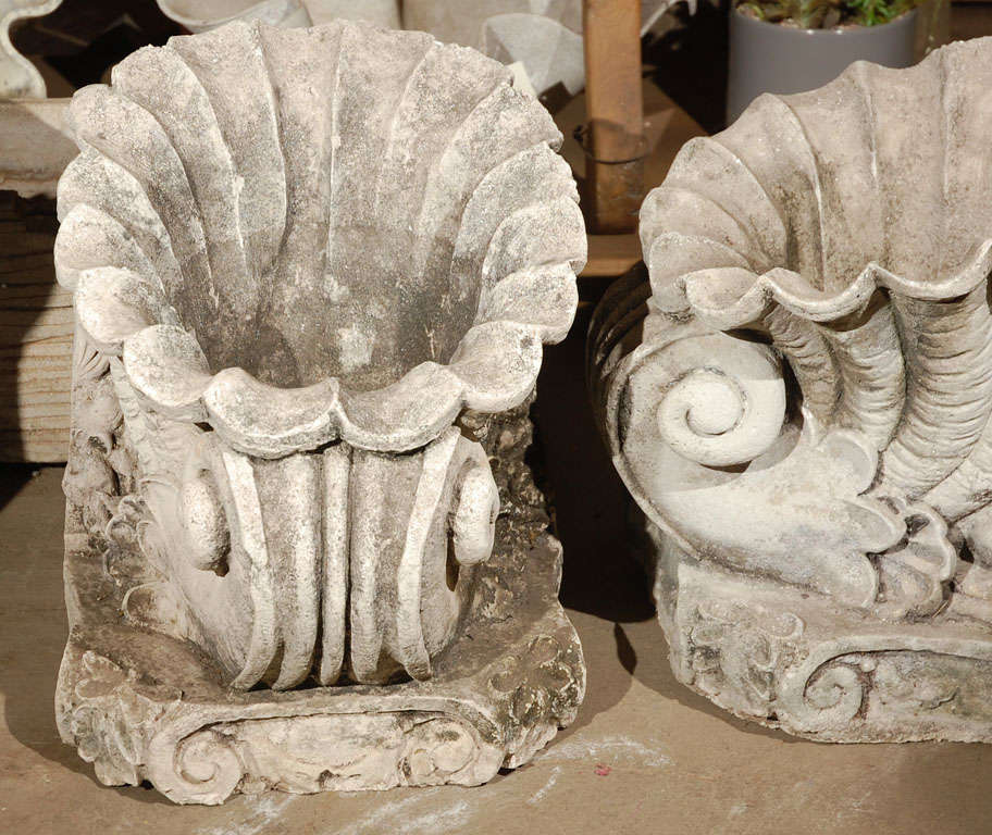 Pair of Cast Concrete Shell Shaped Planter 1