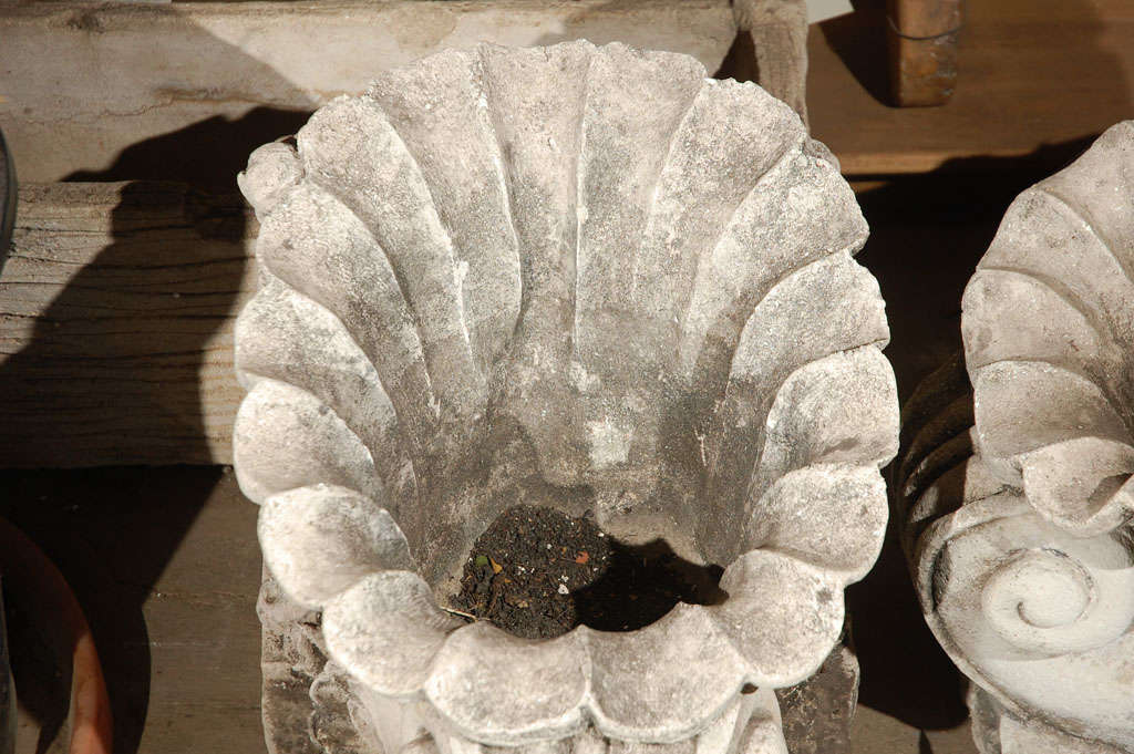 Pair of Cast Concrete Shell Shaped Planter 2