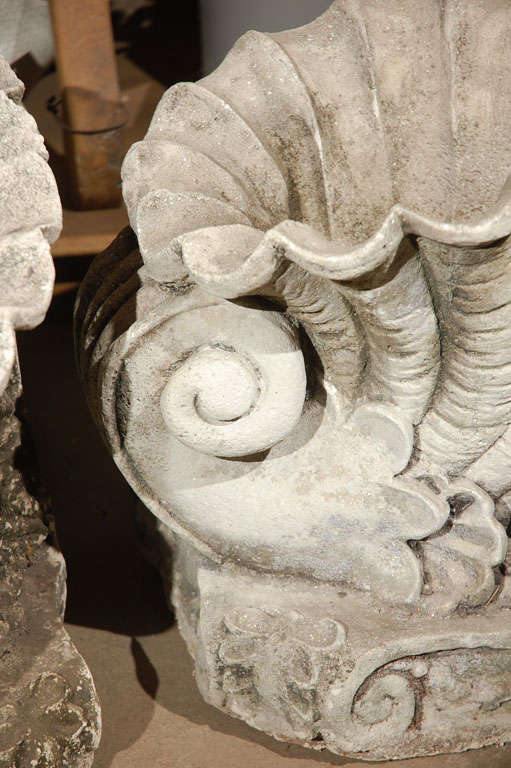 Pair of Cast Concrete Shell Shaped Planter 3