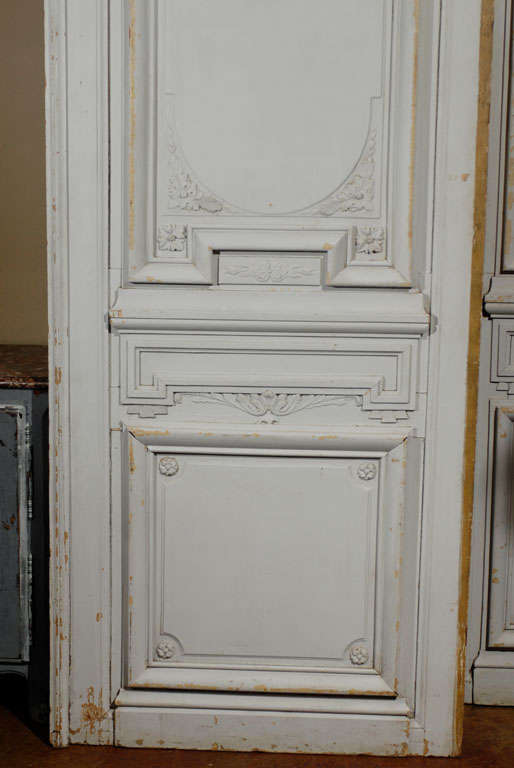 Exceptional Pair of Painted Doors 5