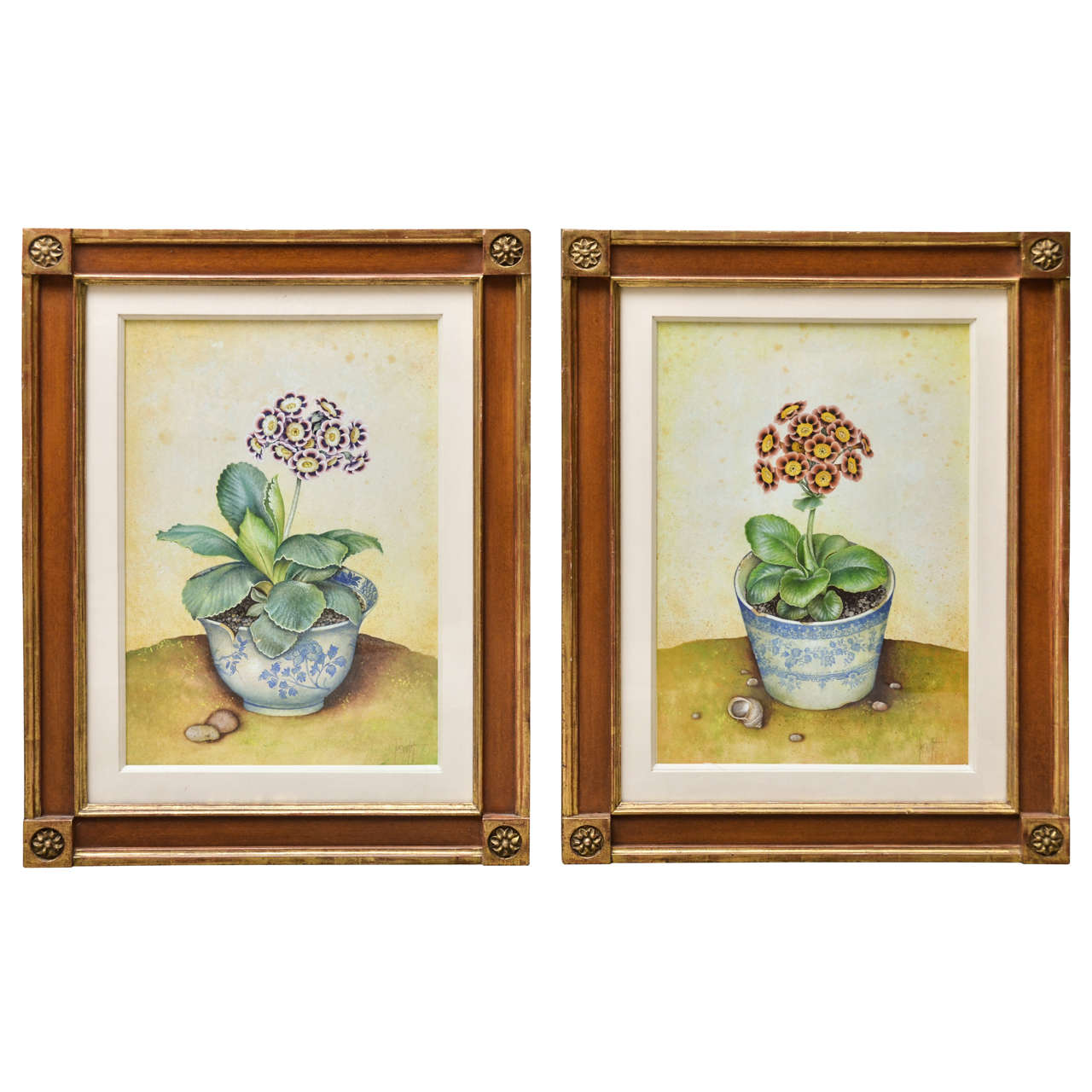 Pair of "Ariculas Botanical Paintings" by Jose Escofet
