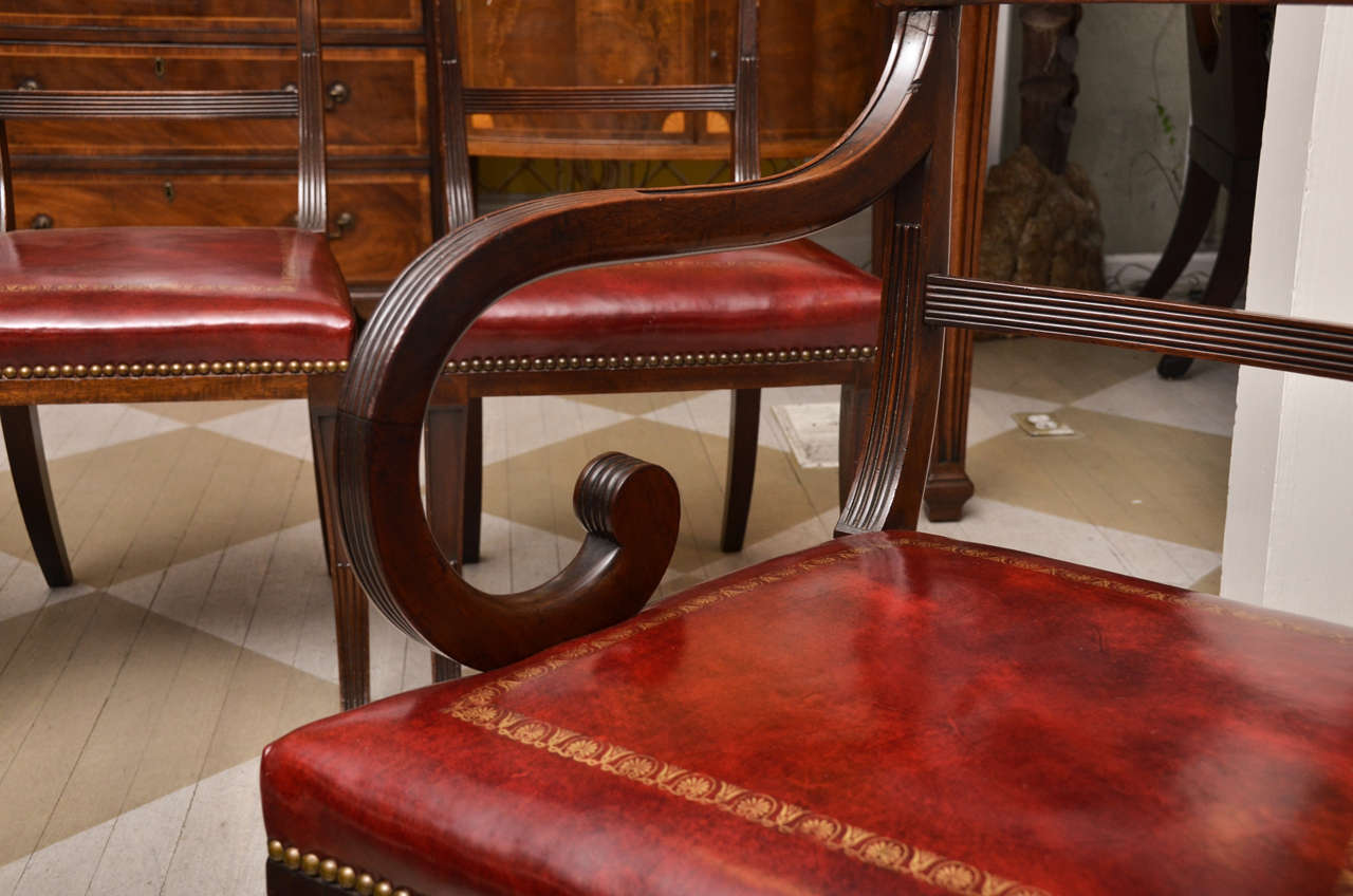 20th Century Circa 1900, English Regency Style Set of Six Mahogany Dining Chairs